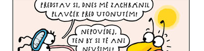 Bára Buchalová vtipy č.9331 - 