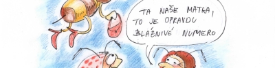 Dokoupil-Poruba vtipy č.65819 - 