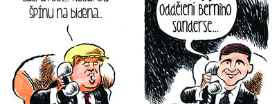 Jimmy Margulies vtipy č.7887 - Americké volby 2020