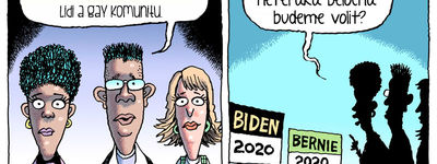 Rob Rogers vtipy č. - Americké volby 2020