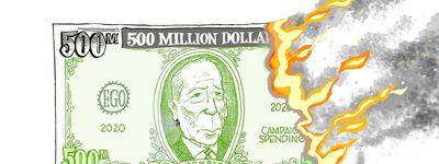 Steve Breen vtipy č. - Americké volby 2020