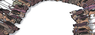 Steve Breen vtipy č.55016 - Americká politika 2022