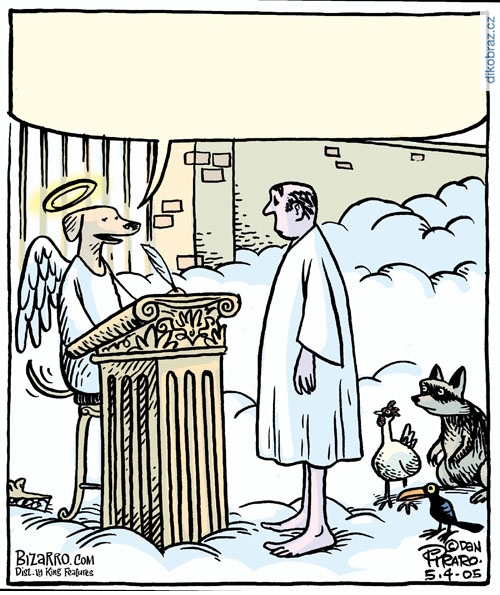 Dan Piraro vtipy č.8481 - 