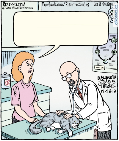 Dan Piraro vtipy č.9022 - 