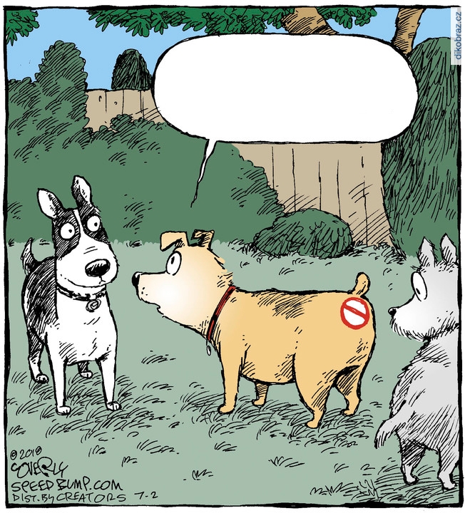 Dave Coverly vtipy č.8627 - 