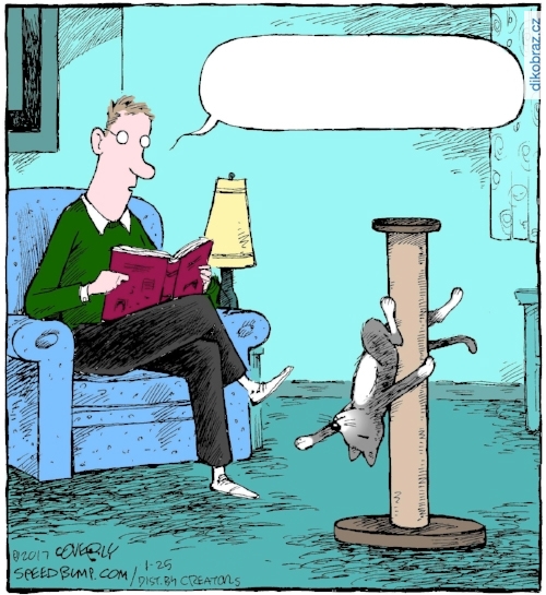 Dave Coverly vtipy č.9564 - 