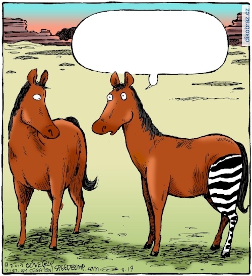 Dave Coverly vtipy č.36108 - 