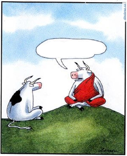 Gary Larson vtipy č.46442 - 