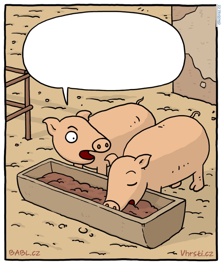 Vhrsti vtipy č.8864 - 
