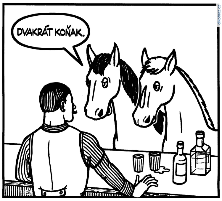 Adam Lešikar vtipy č.15714 - 