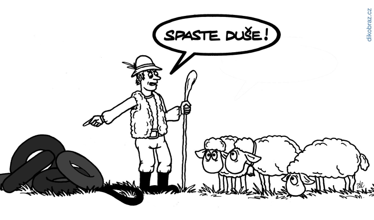 Adam Lešikar vtipy č.16366 - 