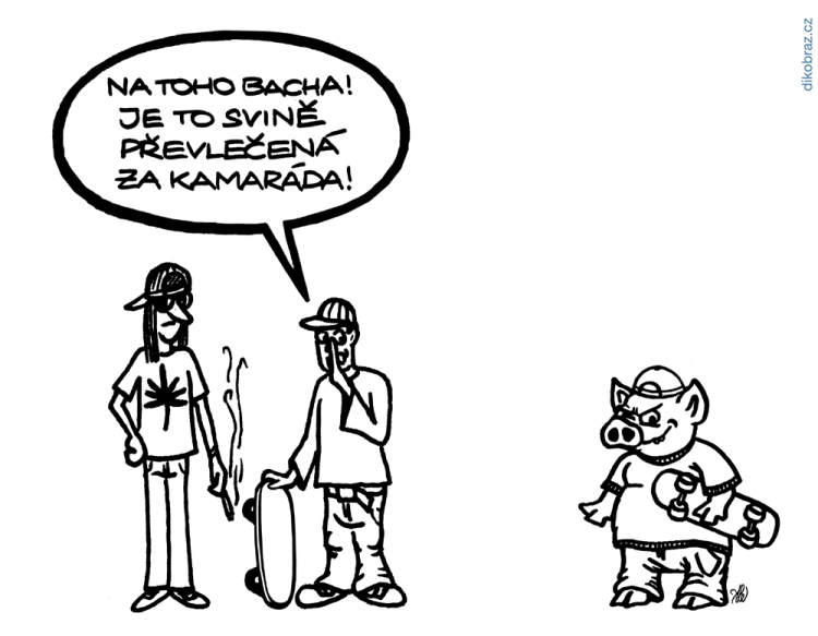Adam Lešikar vtipy č.16929 - 