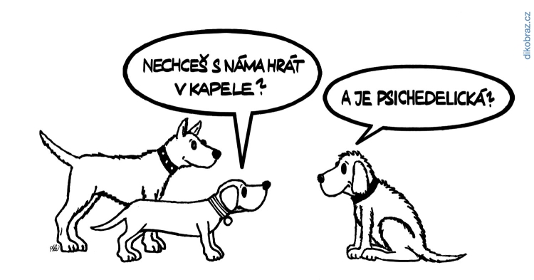 Adam Lešikar vtipy č.21372 - 