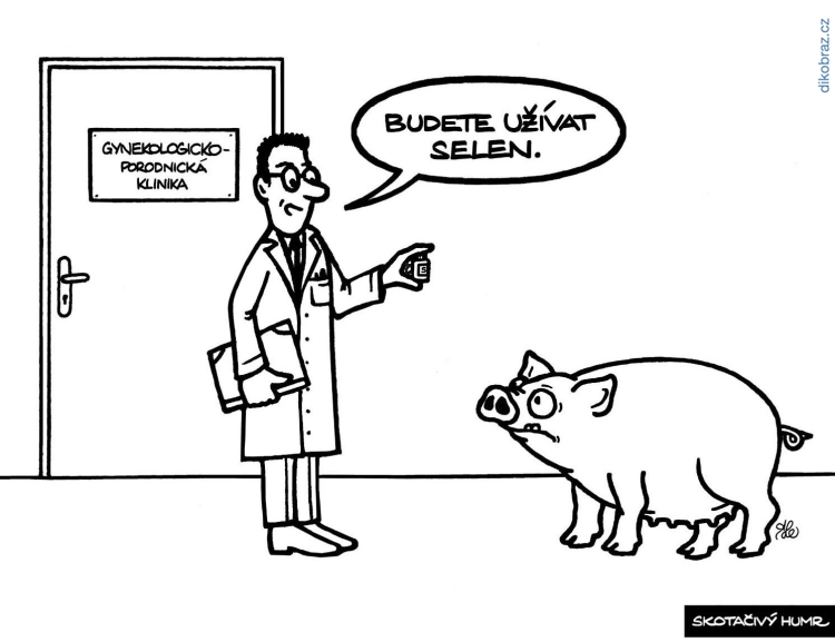 Adam Lešikar vtipy č.23694 - 