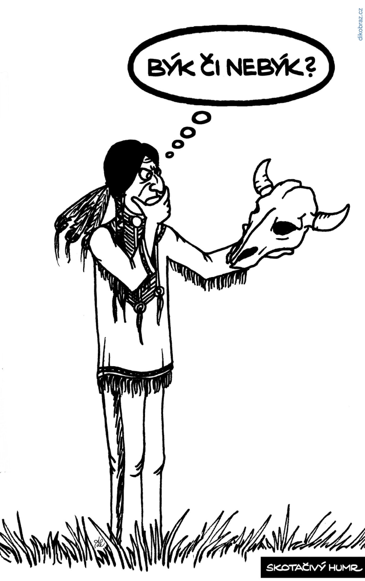 Adam Lešikar vtipy č.24590 - 