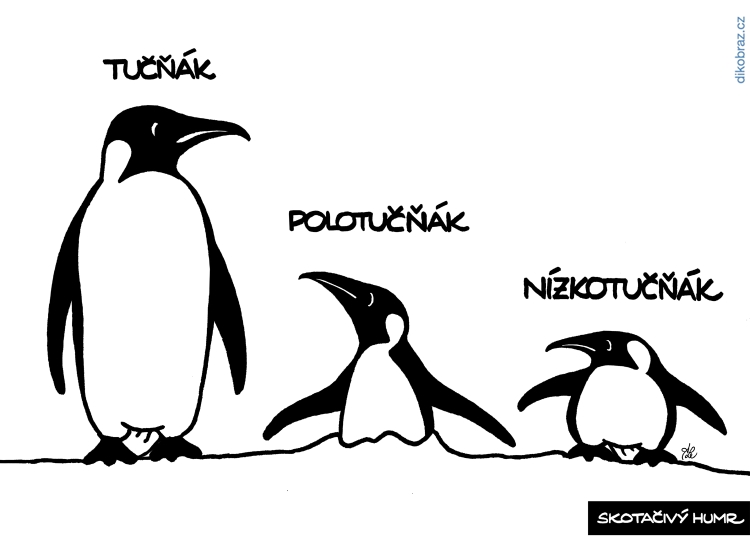 Adam Lešikar vtipy č.25345 - 