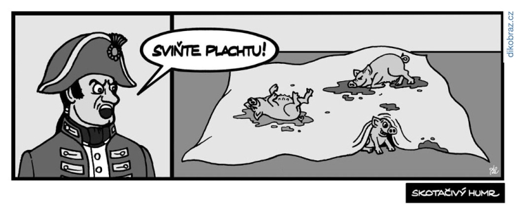Adam Lešikar vtipy č.25588 - 
