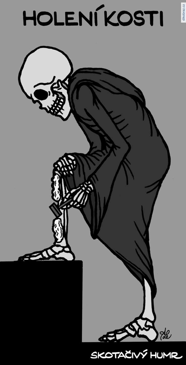 Adam Lešikar vtipy č.26444 - 