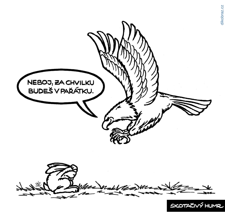 Adam Lešikar vtipy č.27067 - 