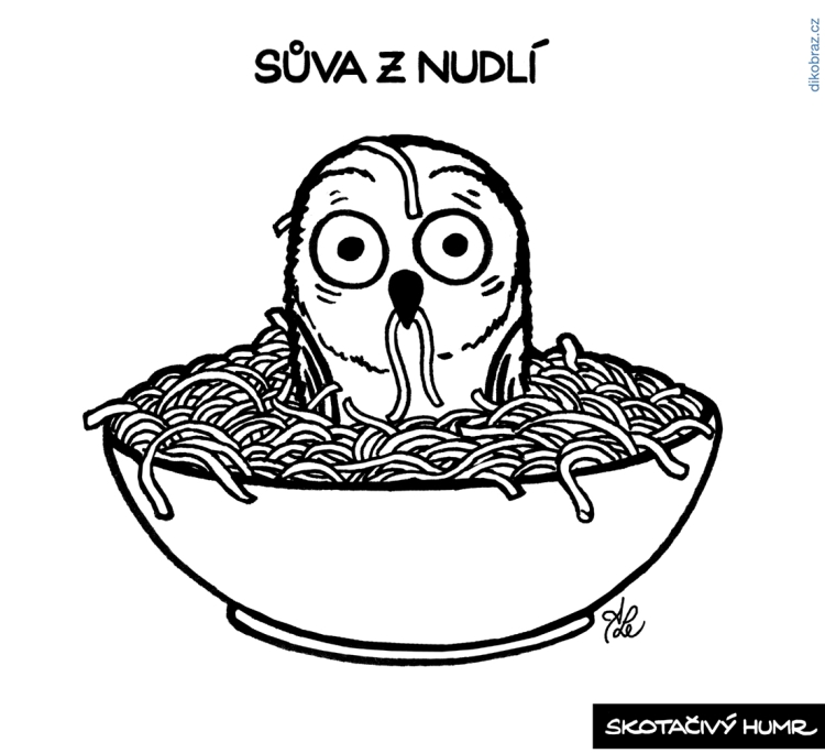 Adam Lešikar vtipy č.28369 - 