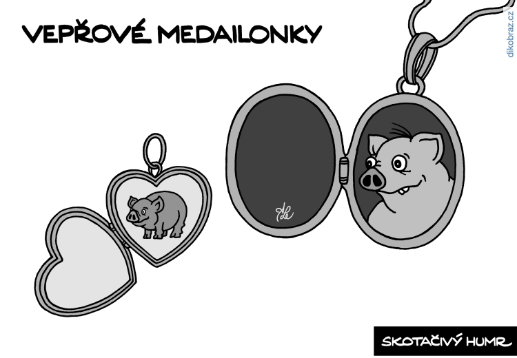 Adam Lešikar vtipy č.29016 - 