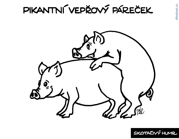 Adam Lešikar vtipy č.29879 - 