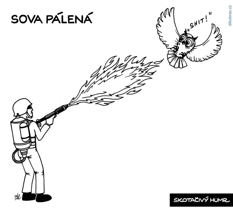 Adam Lešikar vtipy č.31567 - 