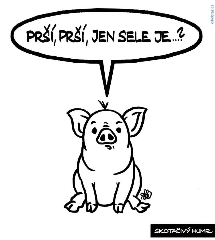 Adam Lešikar vtipy č.34782 - 