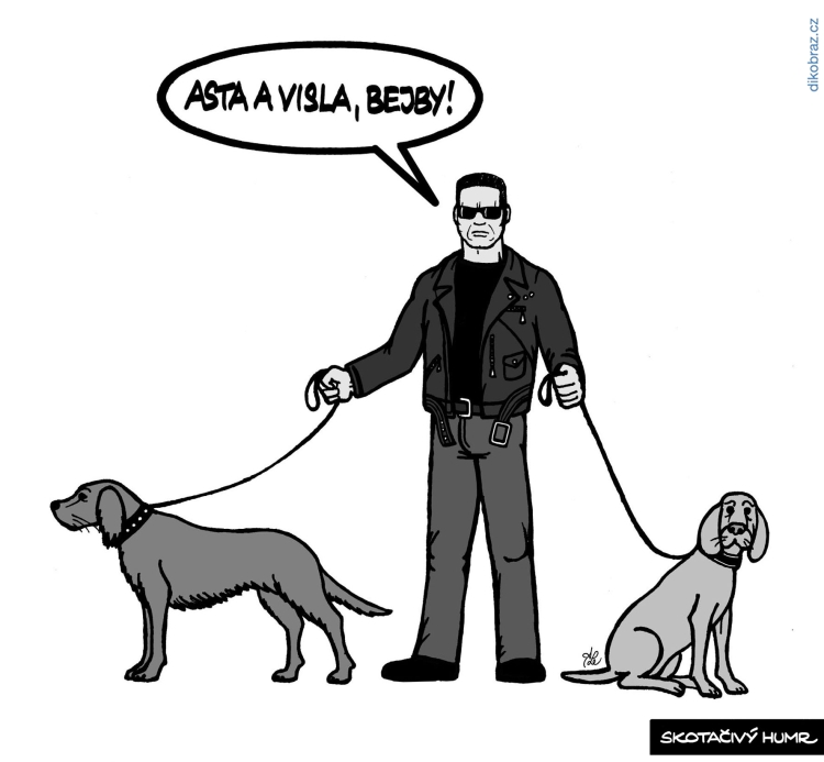 Adam Lešikar vtipy č.35390 - 