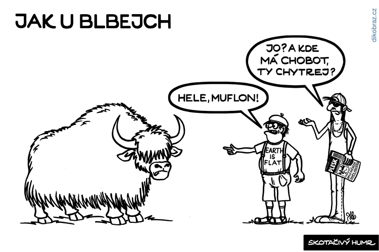 Adam Lešikar vtipy č.38339 -