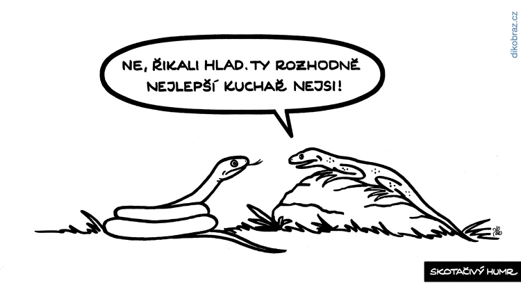 Adam Lešikar vtipy č.47253 -