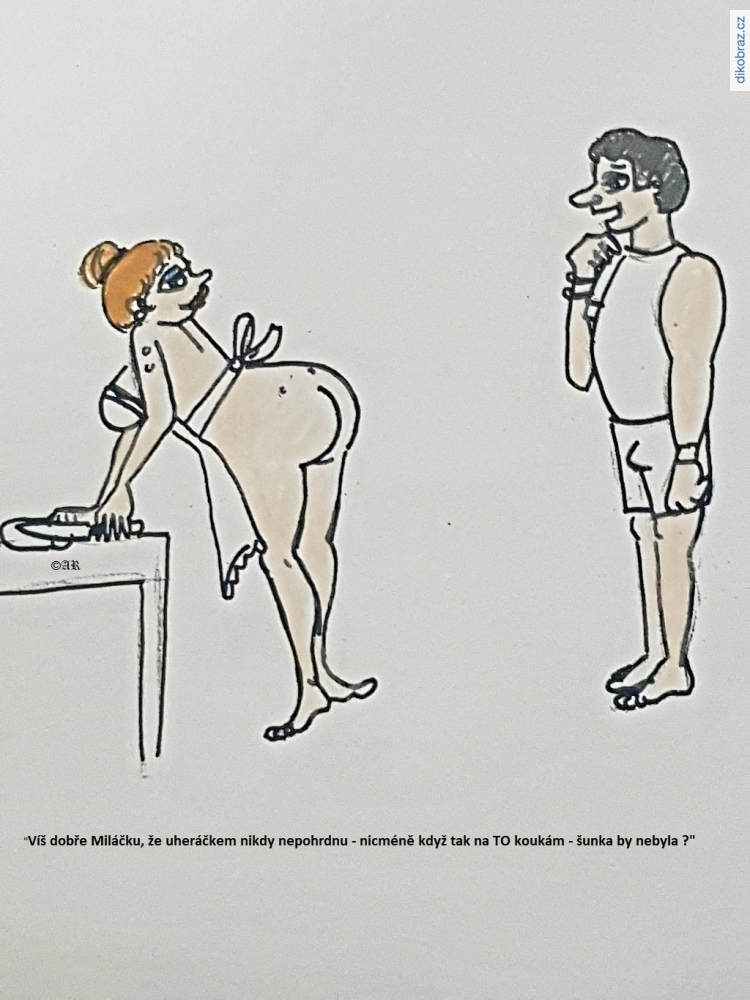 Alfred Rudys vtipy č.16056 - 