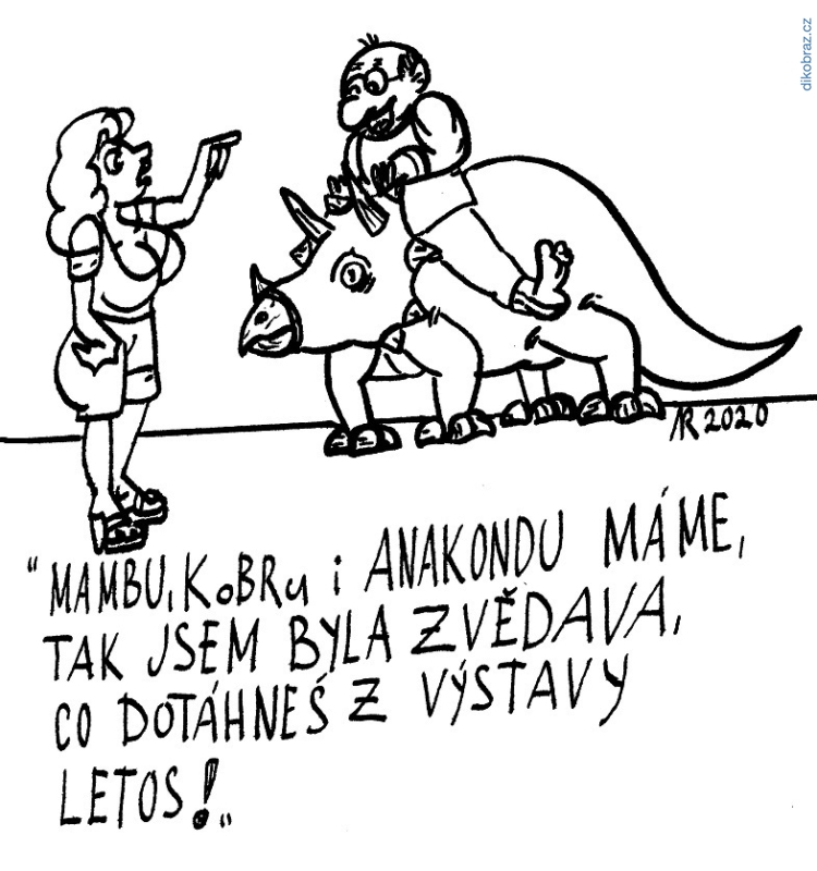 Alfred Rudys vtipy č.24584 - 