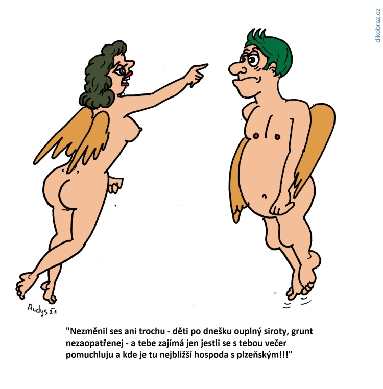 Alfred Rudys vtipy č.41613 - 