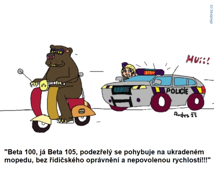 Alfred Rudys vtipy č.42719 - 