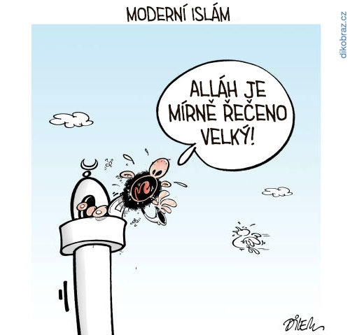 Ali Dilem vtipy č.2504 -