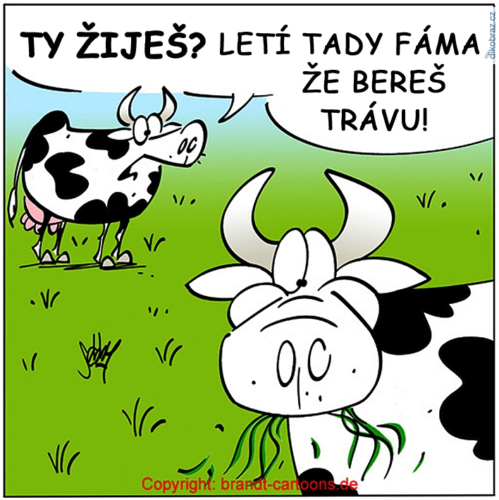 Andreas Brandt (Sebby) vtipy č.67211 - 