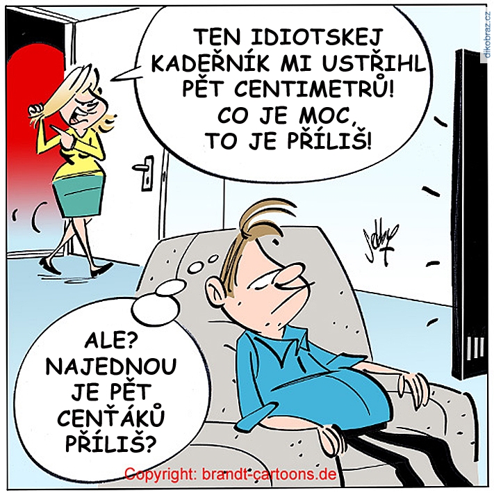Andreas Brandt (Sebby) vtipy č.71945 - 