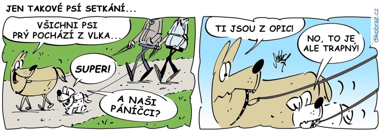 Andreas Brandt (Sebby) vtipy č. - 