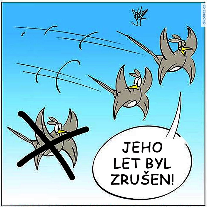 Andreas Brandt (Sebby) vtipy č.102824 - 