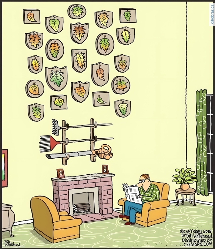 Bill Whitehead vtipy č.99003 - 