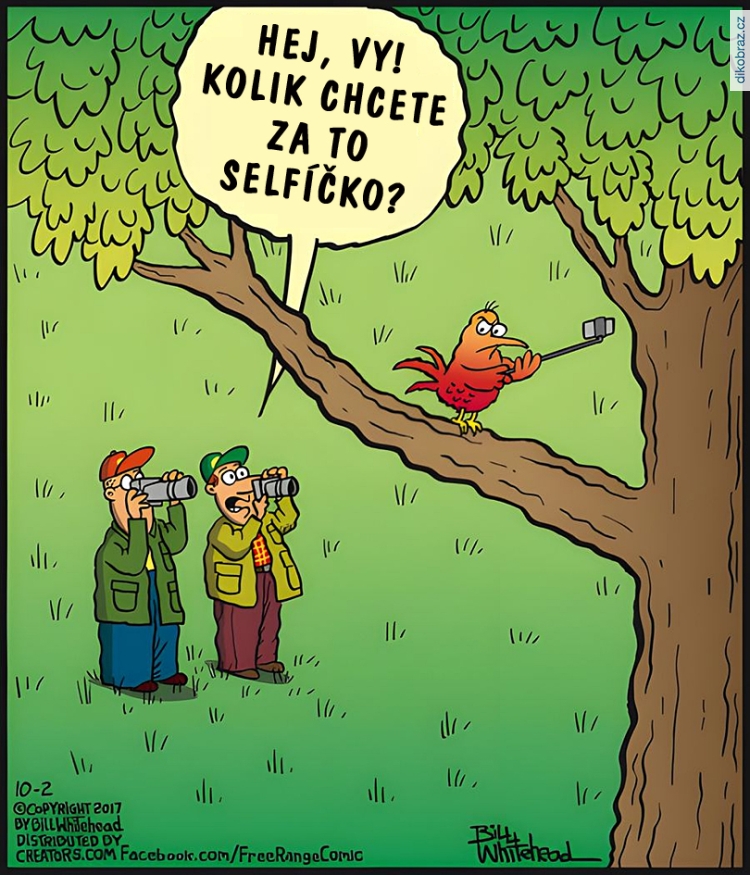 Bill Whitehead vtipy č.99007 - 