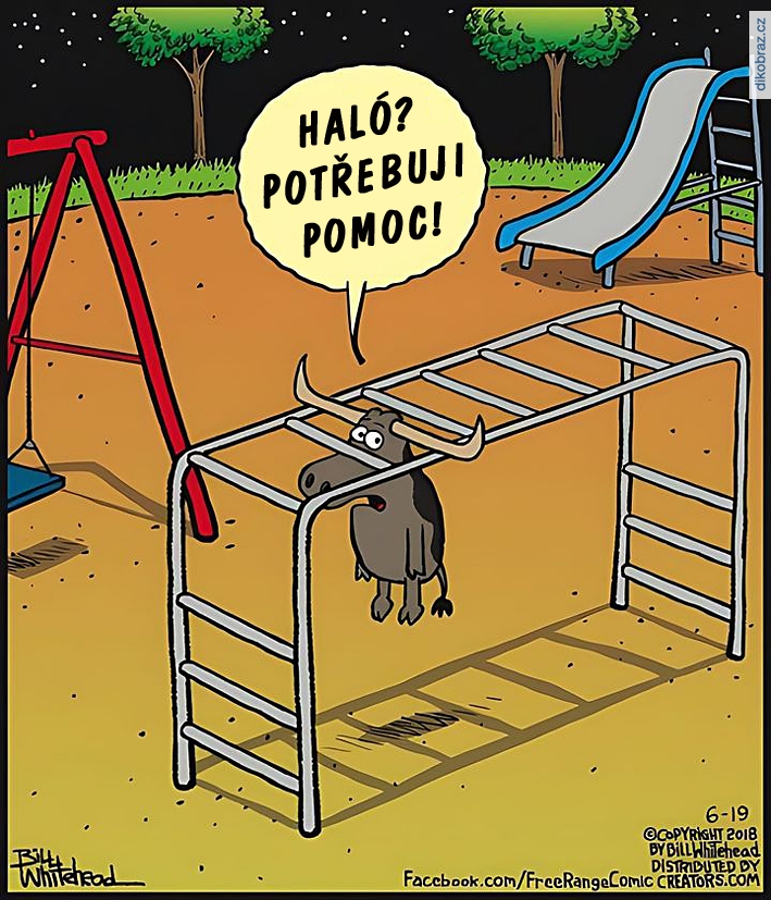 Bill Whitehead vtipy č.99026 - 