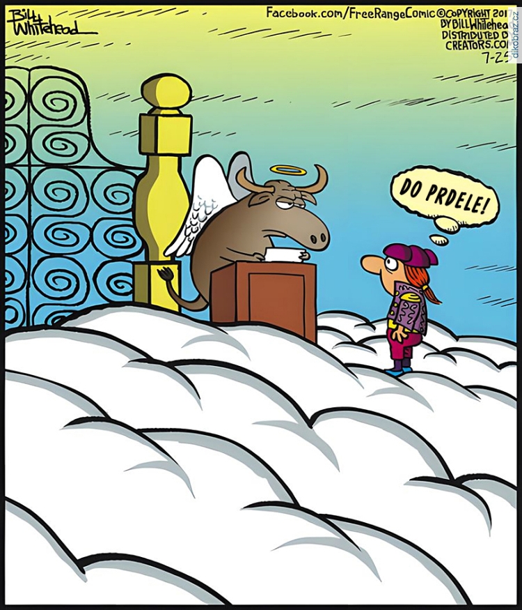 Bill Whitehead vtipy č.99027 - 