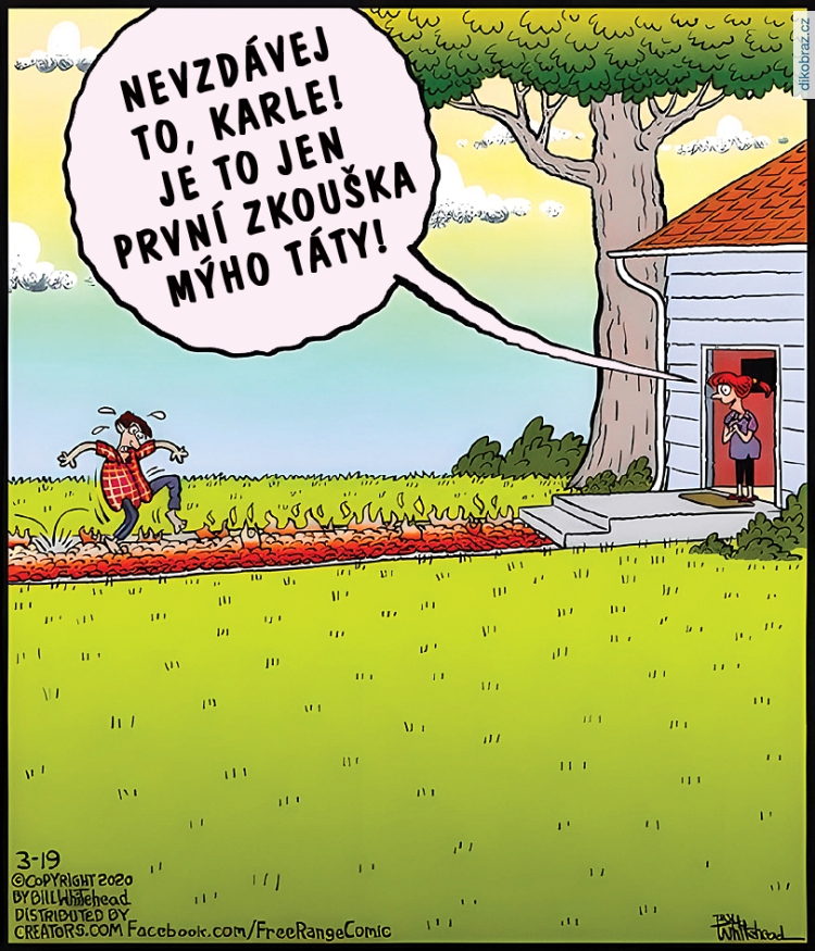 Bill Whitehead vtipy č.99047 - 