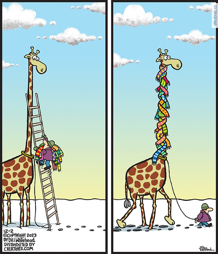 Bill Whitehead vtipy č.99049 - 