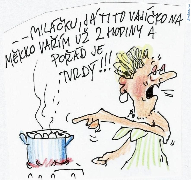 Bohumil Jůza vtipy č.8578 - 
