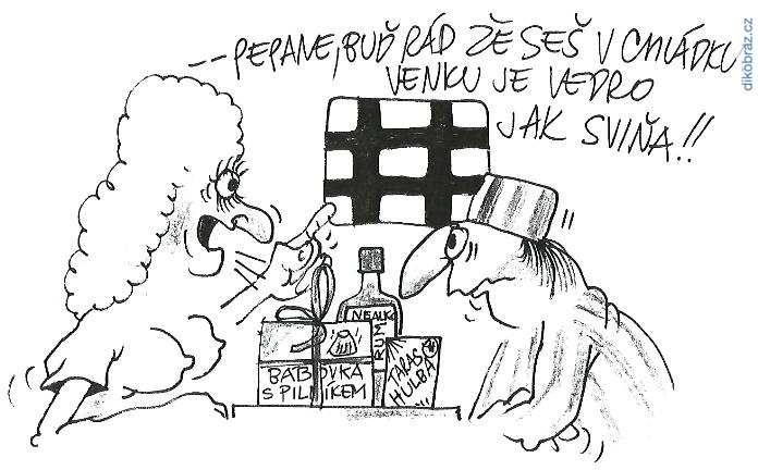 Bohumil Jůza vtipy č.9977 - 