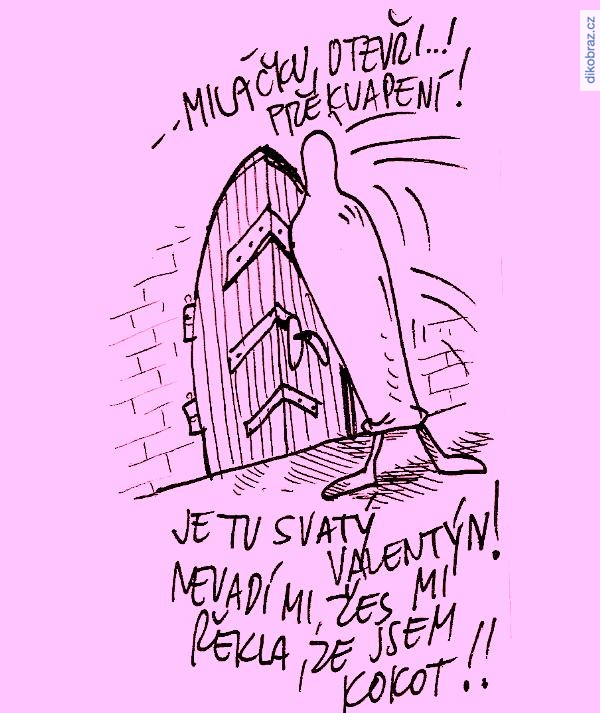 Bohumil Jůza vtipy č.28102 - 