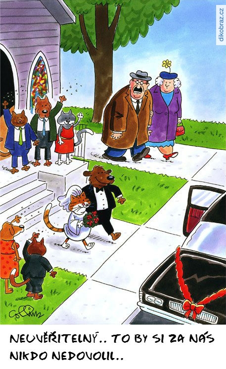 Dan Collins vtipy č.1586 - 